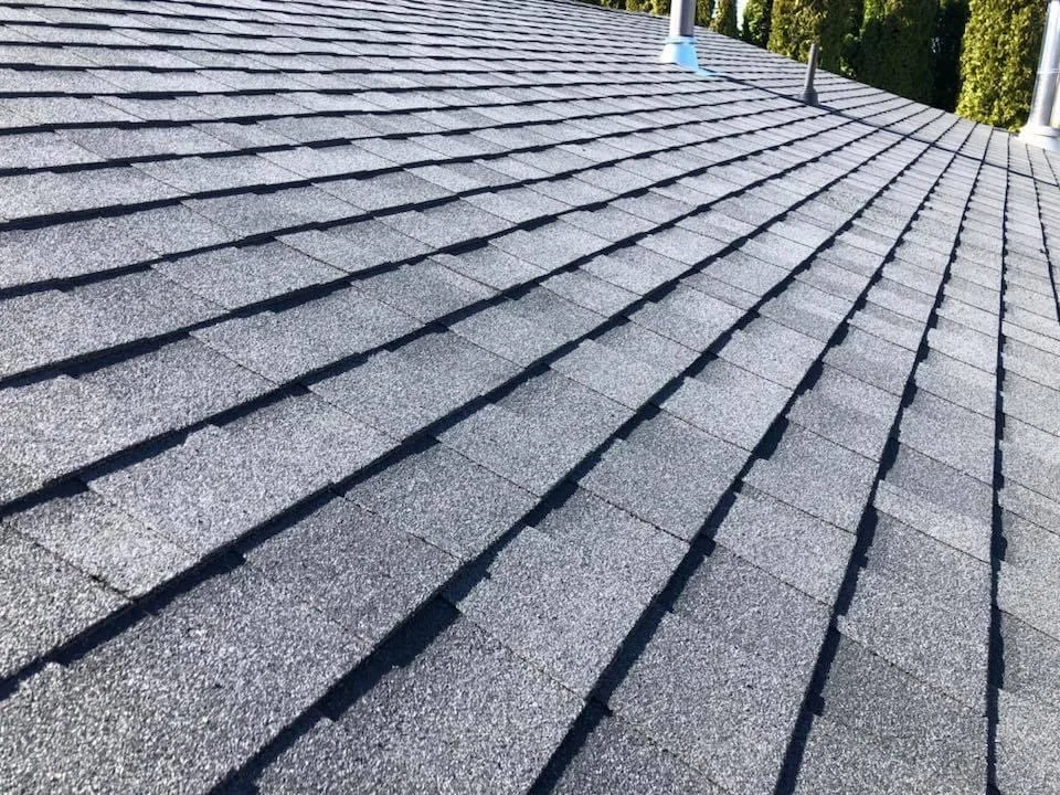 Close-up view of asphalt shingle roof with pipe vents