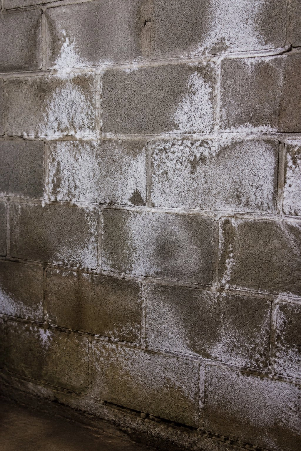 Cinder block foundation wall with efflorescence from hydrostatic pressure